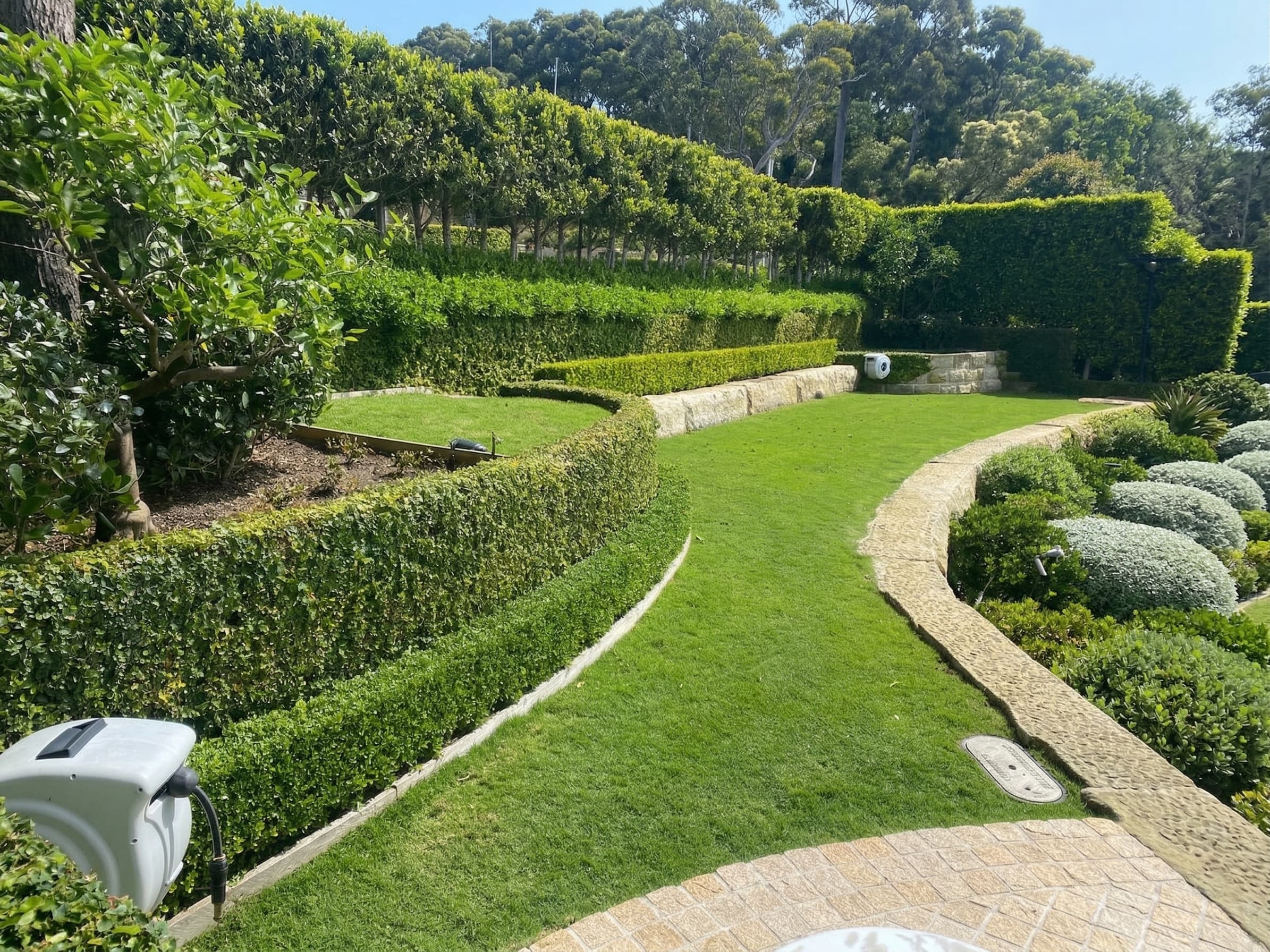 Formal garden with pleached tree screens, layered buxus hedging, manicured lawn, and sandstone crazy paving