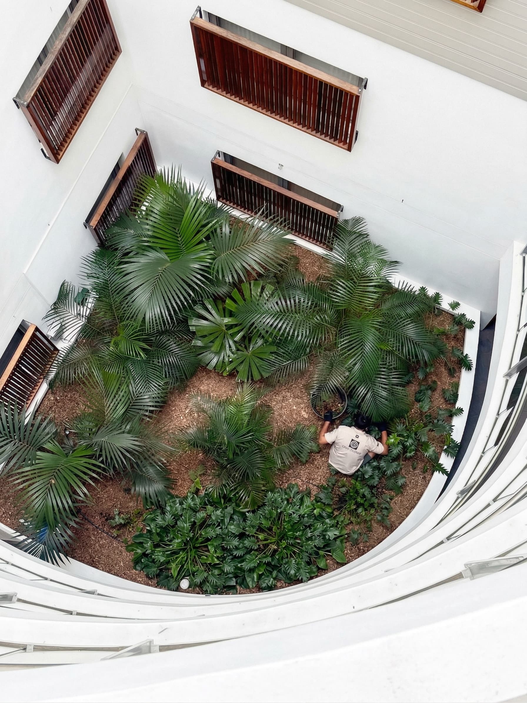 Overhead view of a curved atrium courtyard with fan palms and tropical planting in a multi-level residence